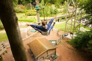 Adventure Park -Adventure Park – Tree climbing (20 km) Activity